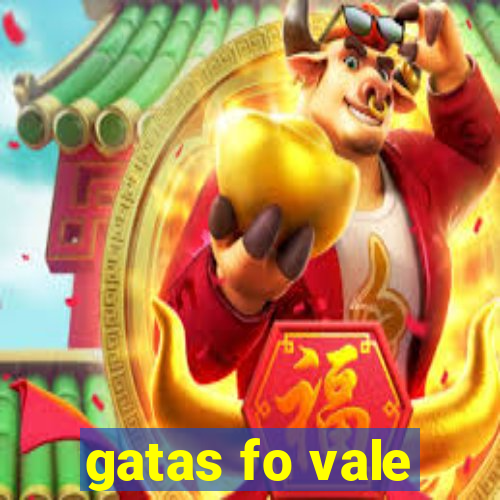 gatas fo vale